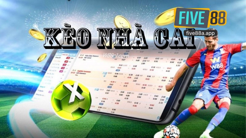 Sảnh Thể Thao T Sports 